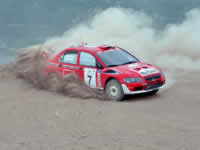 Acropolis Rally 2002 - Order Ref: Delecour