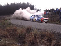 Order Ref: Blomqvist Lotus 81 Welsh