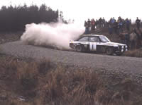 Order Ref: Vatanen Escort Welsh